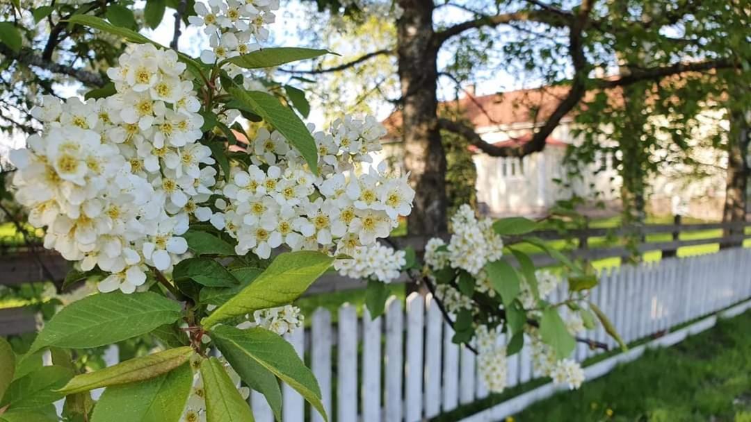 Kuin Koti Villa Nådendal Exteriör bild